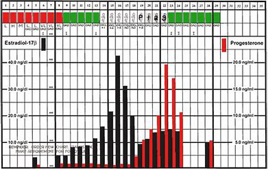 crms-chart