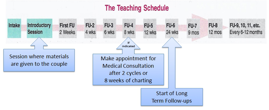 the-teaching-schedule